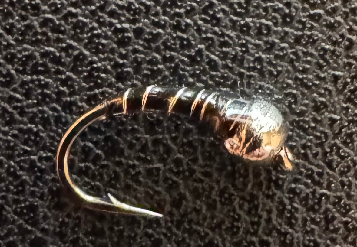 Zebra Midge - 6 Pack